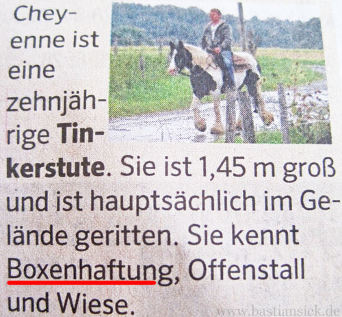 Boxenhaftung_WZ (Westfalenpost vom 06.09.2014) © von Maren Schneider_8hkKlcEJ_f.jpg